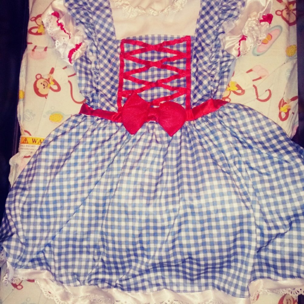 Adorable Dorothy from wizard of oz costume